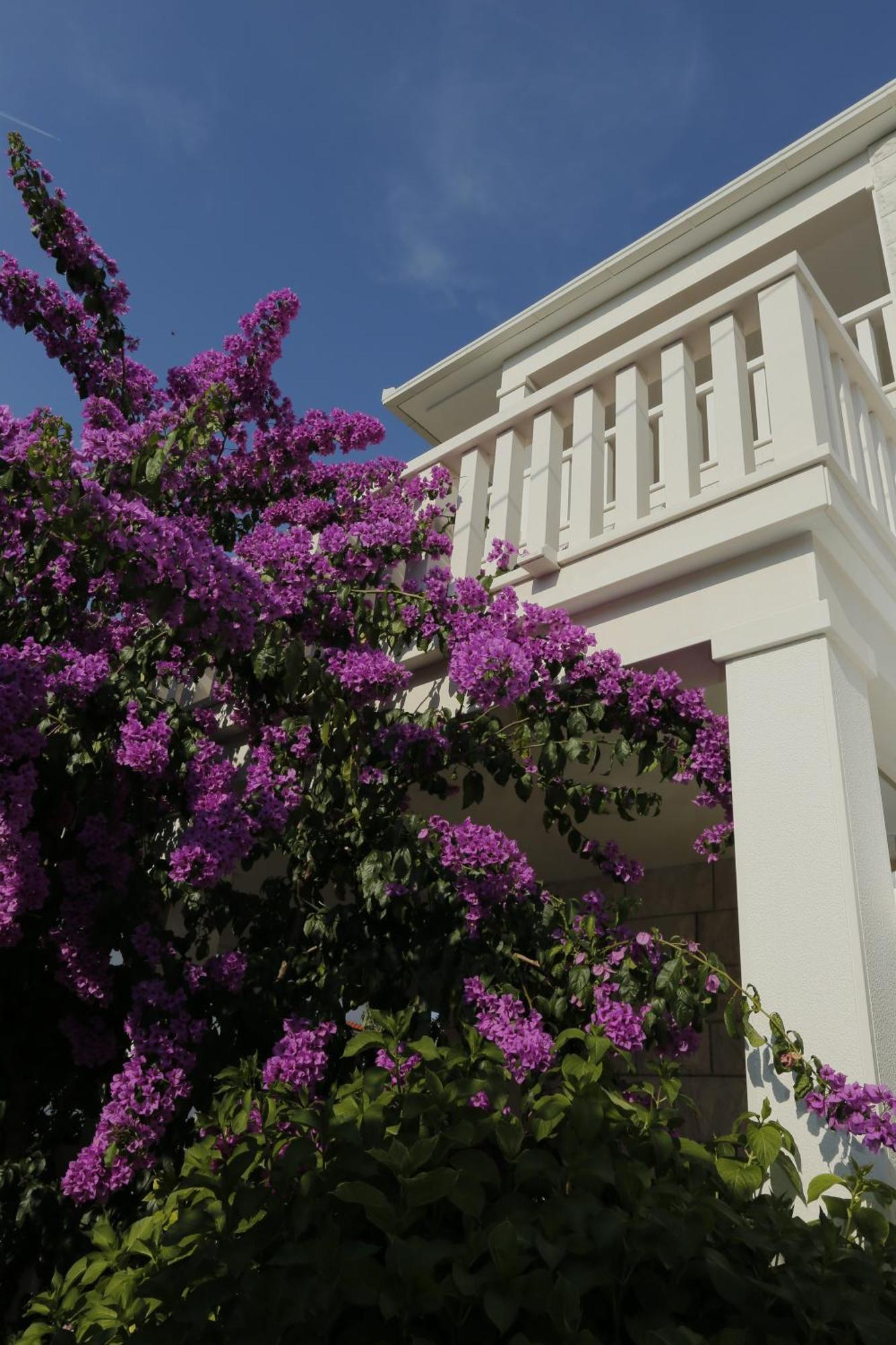 Apartments Marino Supetar Εξωτερικό φωτογραφία